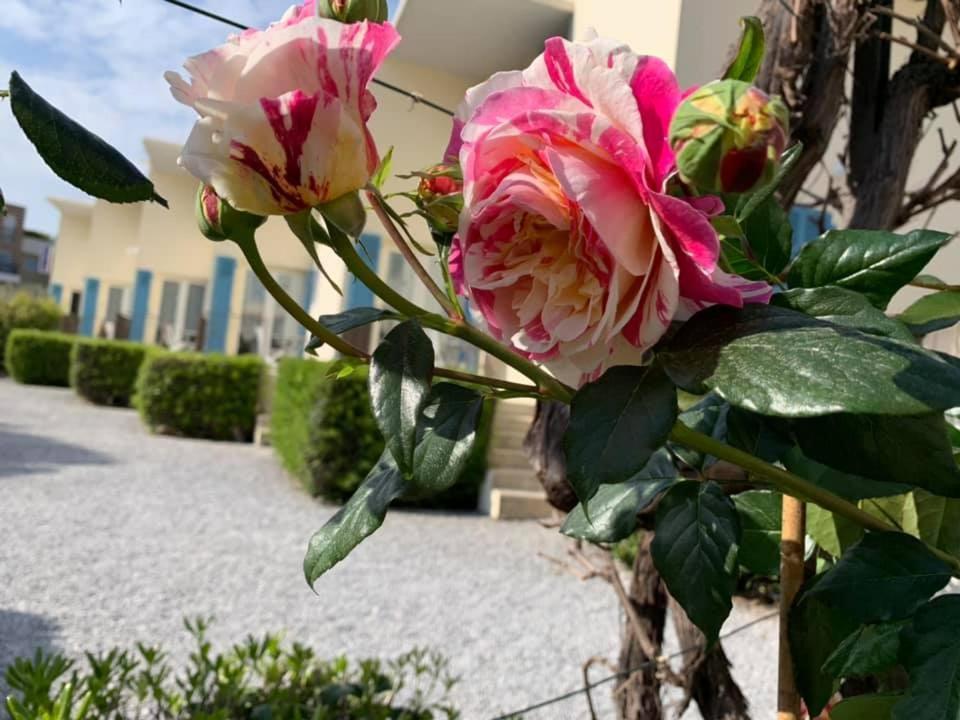 Hotel L'Etape Villeneuve-Loubet Exteriér fotografie